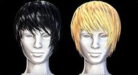 Two color female bob hairstyle