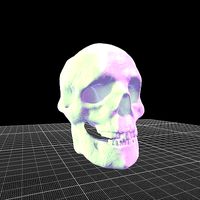 skull
