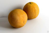 Melon 006