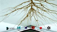 Soybean Root Growth Animation