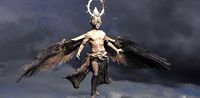 Devine Angel Kingdom 2