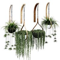 Morvah Hanging Planter