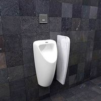 Urinal 13