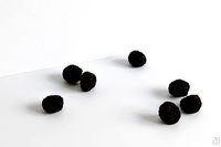 Truffle 001