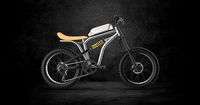 E - Bike Scrambler
