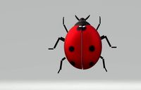 Two models of ladybugs