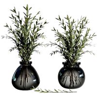 Olives in vases galss