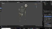 Australopithecus skull and skeleton