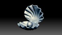 shell