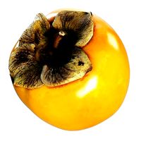 Persimmon scanned 4k