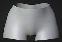 Woman pelvis