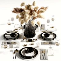 tableware set6