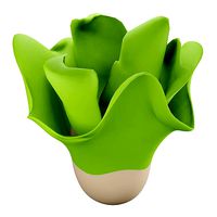 Lettuce