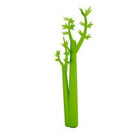 Celery Leaf
