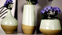 Vase Collection