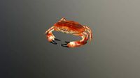 Crab 3D