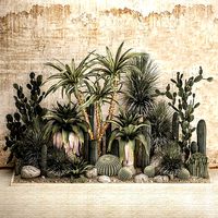 Collection of tropical desert plants 1108A