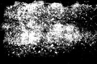 Texture
