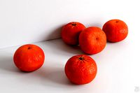 Clementine 002