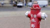 Fire Hydrant