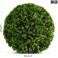 Spherical Bushes