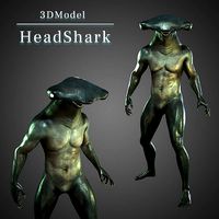 Hammer head shark