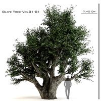 Olive Tree-Vol 01-01