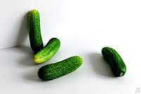 Cucumber 004