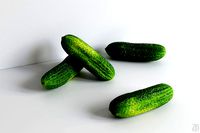 Cucumber 003