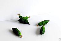 Cucumber 002