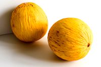 Melon 002