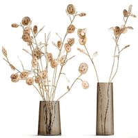 Bouquet of dried flowers  Lunaria in a glass vase 129