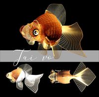 decorative goldfish