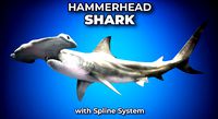 Hammerhead Shark with UE4 Support