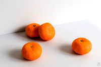 Satsuma 001