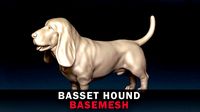 Basset Hound Base Mesh