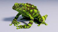 Vietnamese Mossy Frog - Animated