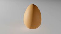 Chicken Egg