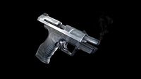 Walther P99 Titanium Coated
