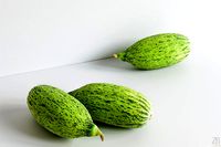 Gourd 001