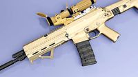 scarl gun