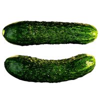 4k Cucumber