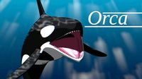 Orca Whale