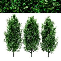 5diffrent tree Cypress Oak 5 trees Models in the scene