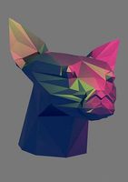 Cat sphinx head