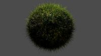 Top Quality Grass Model