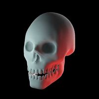 Stylized Human Skull