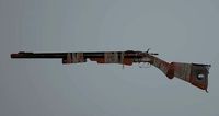Battle Shotgun