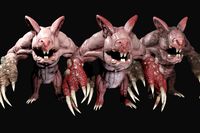 Mole mutant