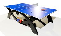 Ping Pong Table